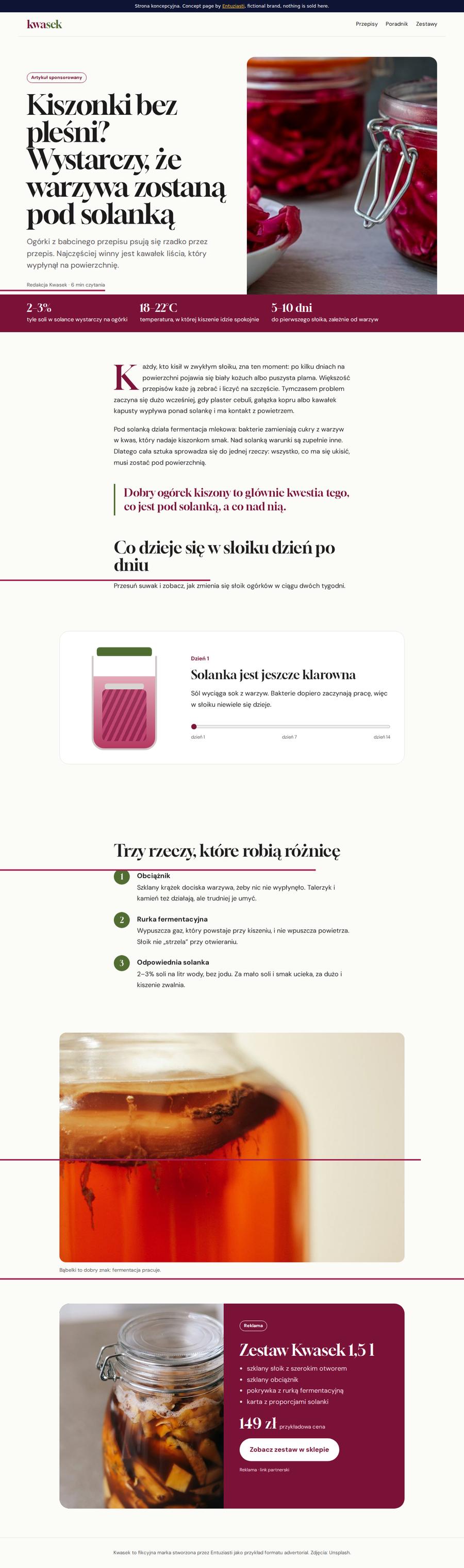 Desktop view of the Kwasek concept page