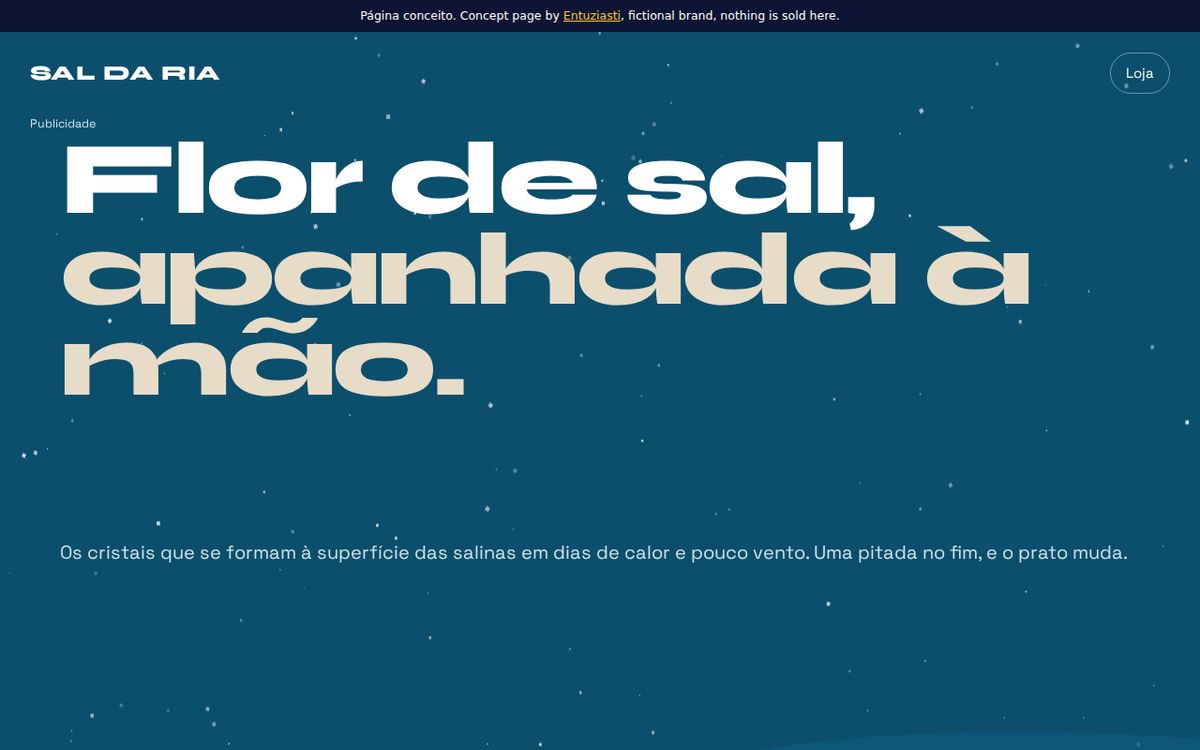 Sal da Ria landing page