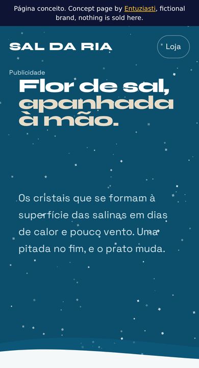 Mobile view of the Sal da Ria concept page